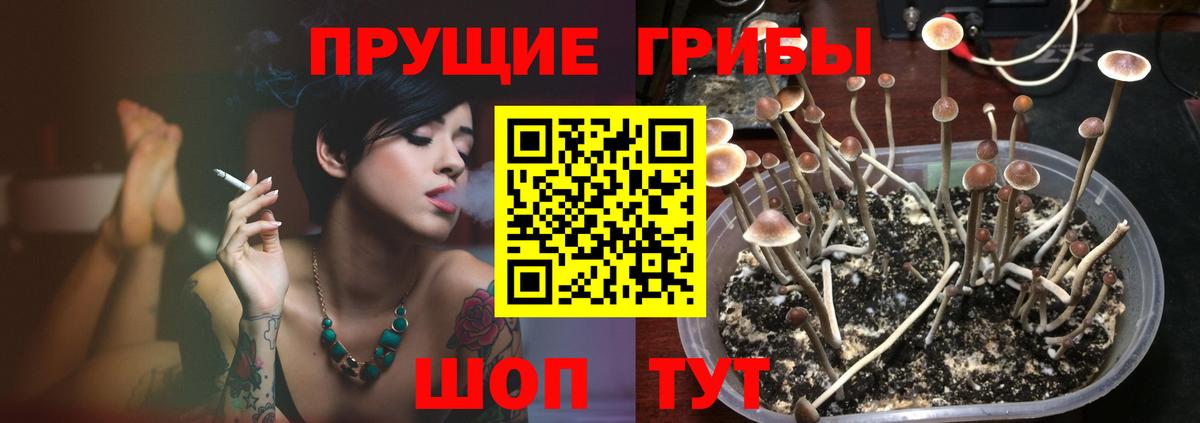 Галлюциногенные грибы прущие грибы Кинель