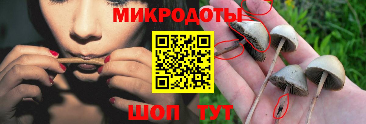 Псилоцибиновые грибы MAGIC MUSHROOMS  Вход с VPN  Кинель 
